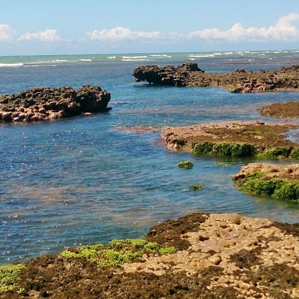 Cabôco Sonhadô Passeios Náuticos e Pousada Mundaú Extérieur photo